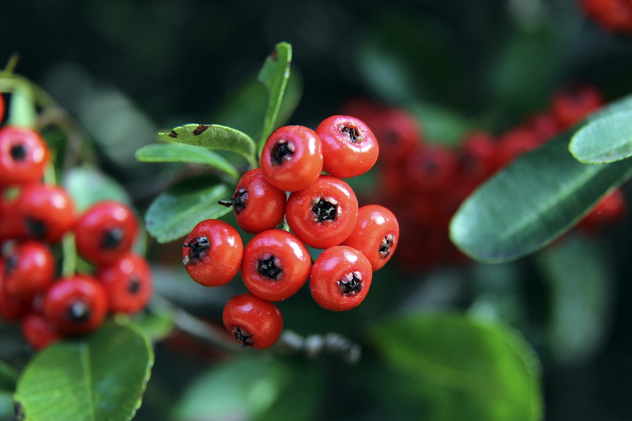 江苏虽脆败天津，但17岁小将太突出！技术全面，未来可接班吴晗