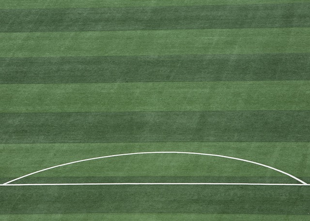 广厦男篮张帆末节绝杀福建